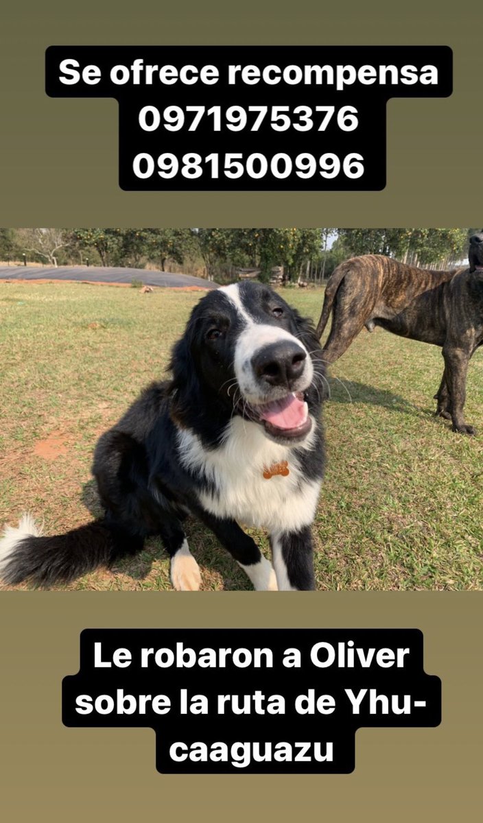 Estoy a 10.000km de casa, por eso no puedo hacer nada! Pero AYUDA PORFAVOR! Esto es demasiado importante! Les RUEGO que RT y compartan! Hay que encontrar a Oliver