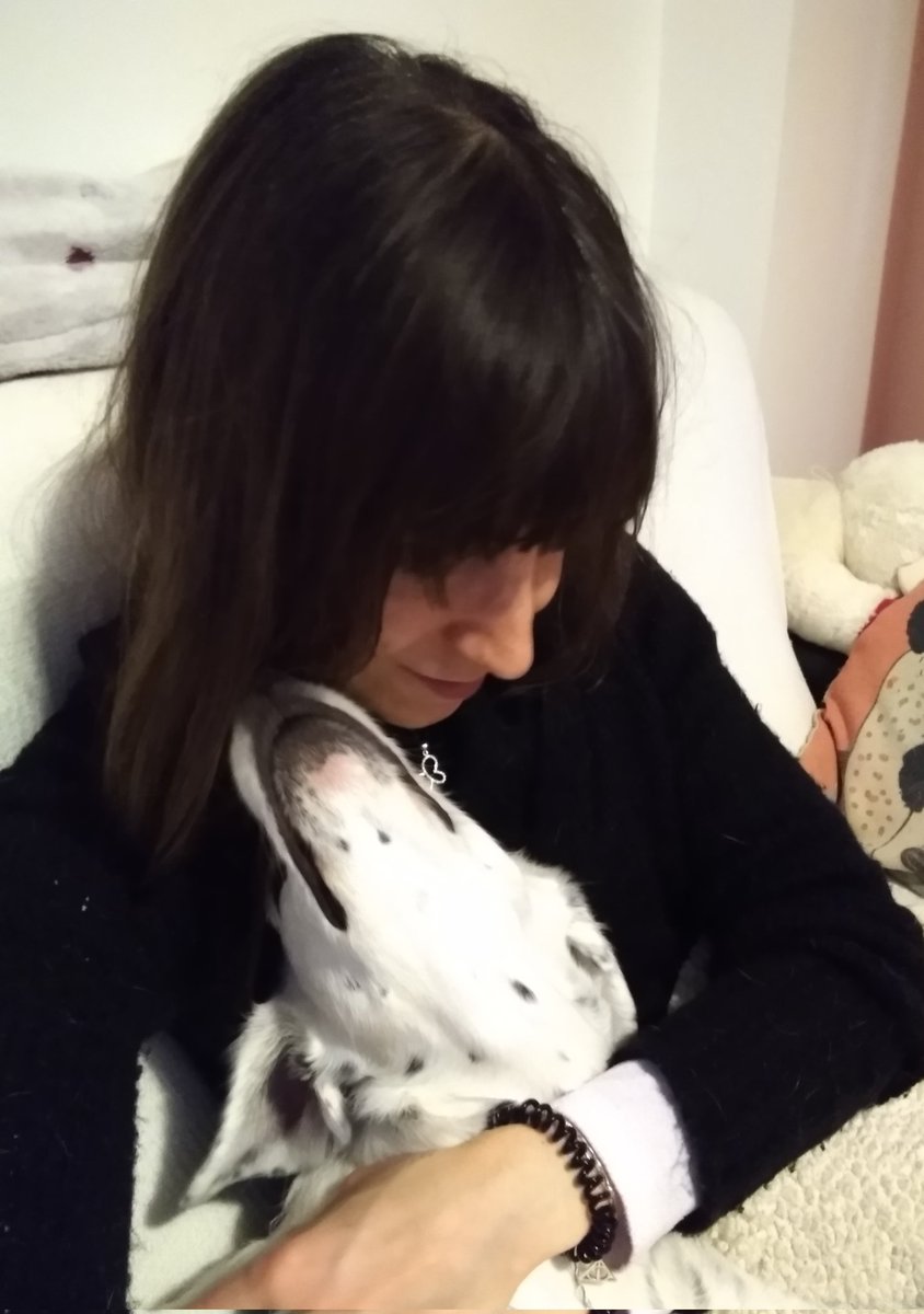 🐼Molly & 🌈Brisa🐻🌈Maddie🦊🌈 tweet media