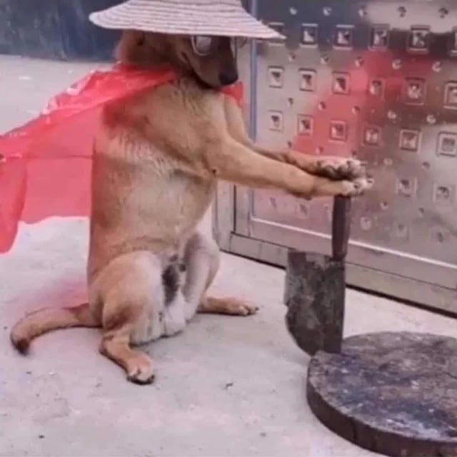 ferne9010's tweet photo. el perro habitante de chernobyl esperando los soldados rusos: https://t.co/yND486VEOu