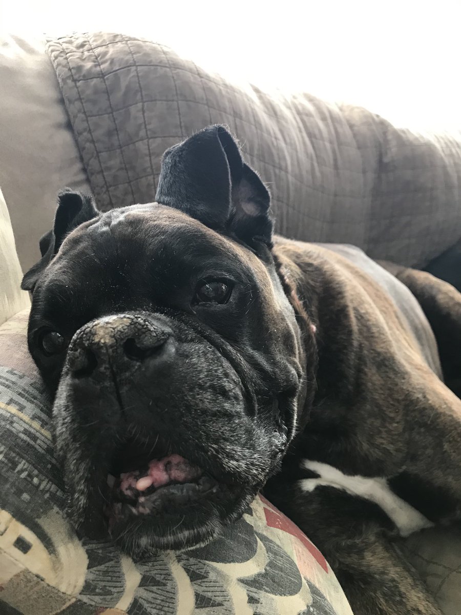 Toarea Fan 🇨🇦 tweet media