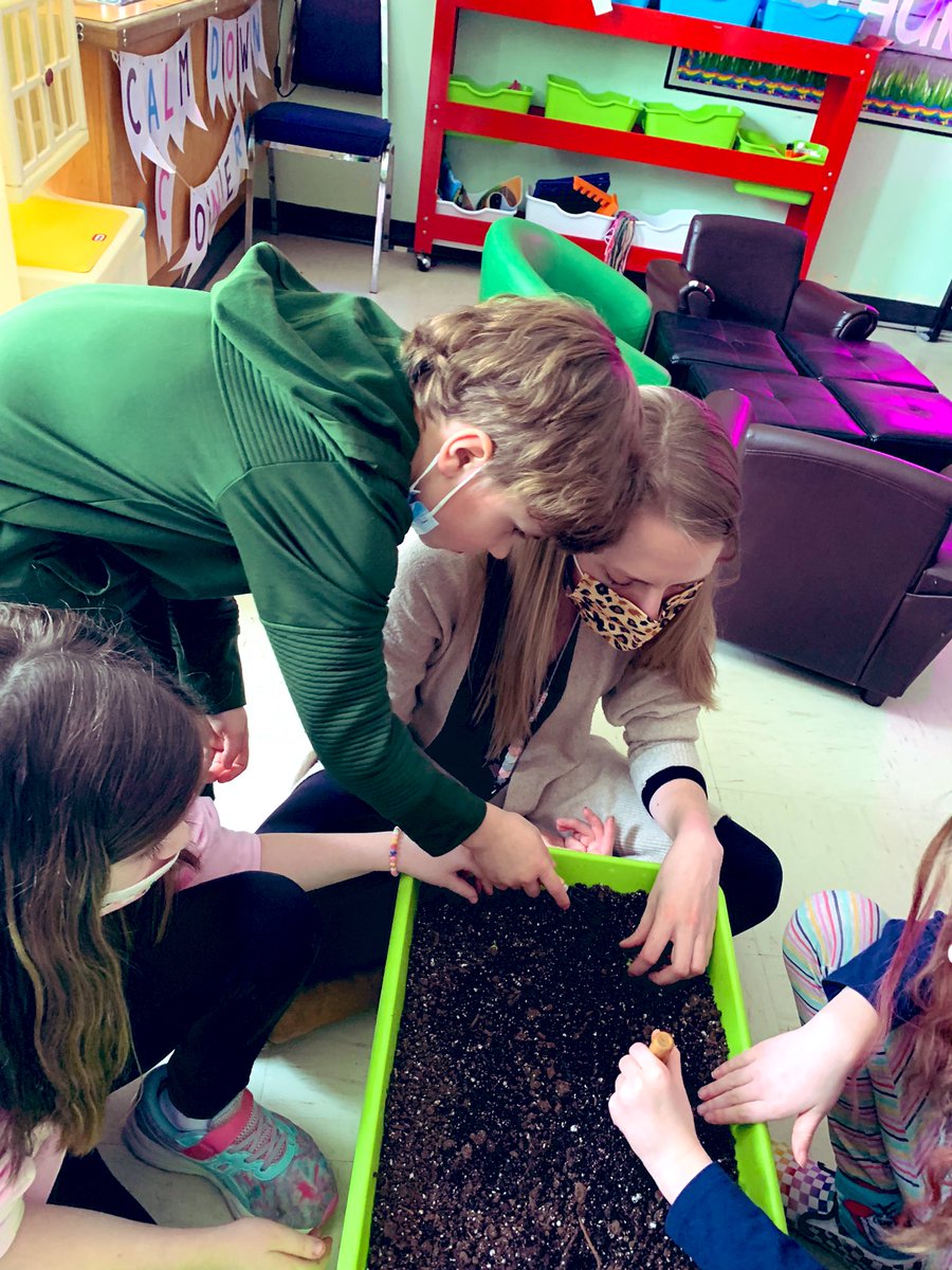 MsOickle's tweet photo. It’s transplant day for our little lettuce babies 😃😃😃 @littlegrnthumbs @AITCNL @NLESDCA https://t.co/vkgzqIMFIp