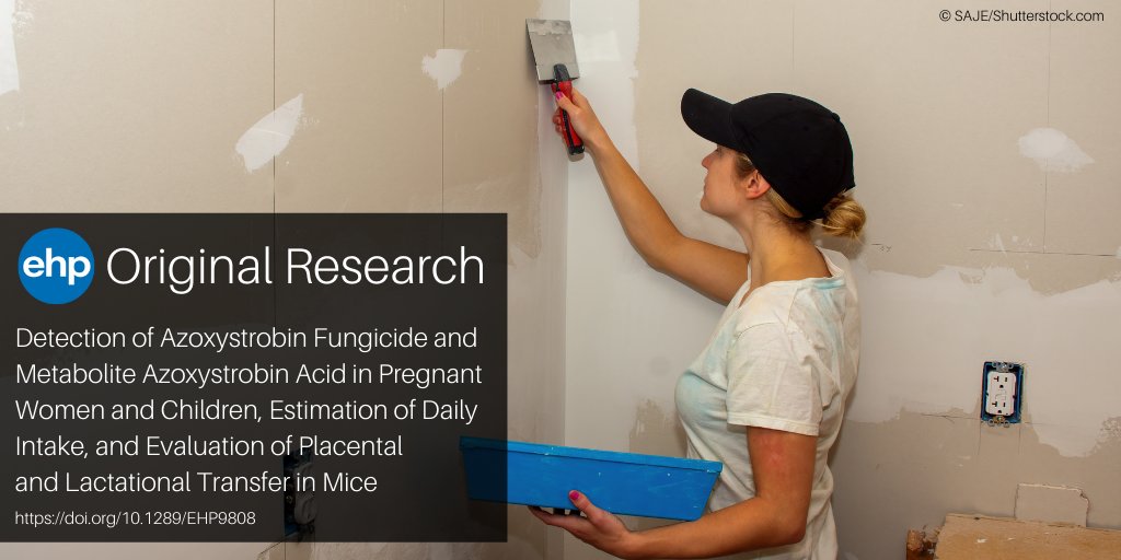 NEW: Commonly used in agriculture, the neurotoxic #fungicide azoxystrobin is also used increasingly in mold- and mildew-resistant wallboard. Hu et al. assess what exposure via this source might mean for #pregnant women and #children ➡️ ehp.niehs.nih.gov/EHP9808