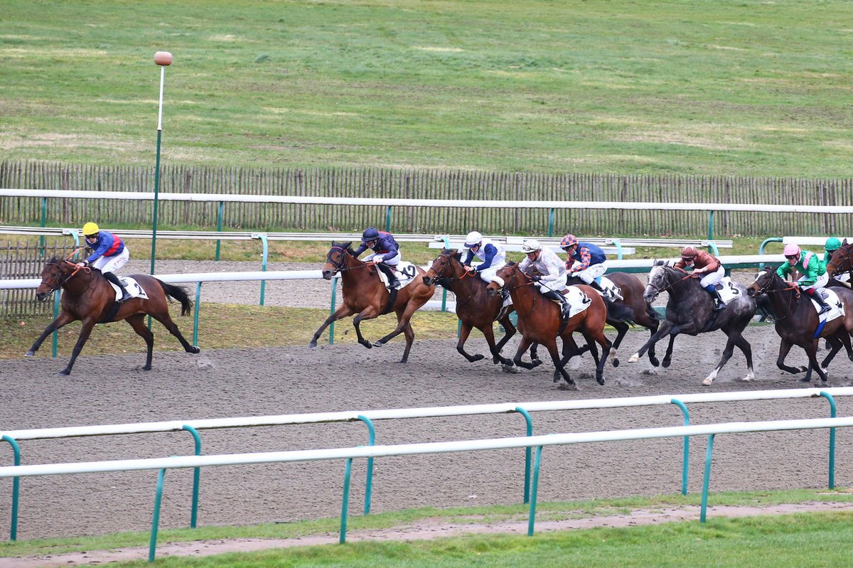 Jour de Galop tweet media