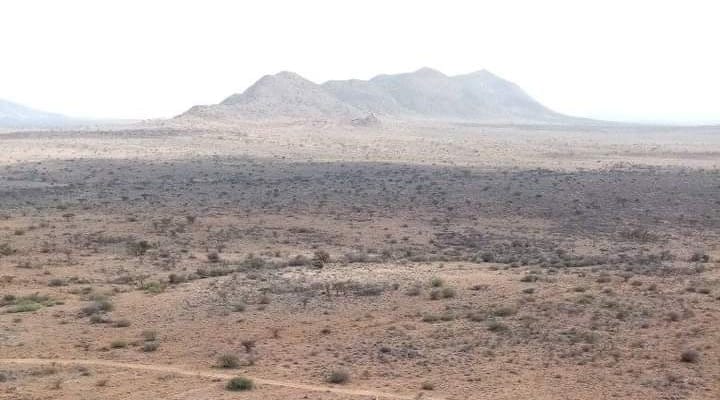 Desert cracks is always the place you could advocate your footprints 👣..