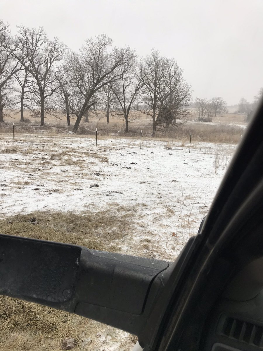 My <a href="/NationalFFA/">National FFA</a> SAE centered around seedstock production and the biggest driver was exhibiting cattle across the state and nationally. I was privileged to have my chapter and area #ffajacket. And today still raising cows, rain or shine or sleet or snow.