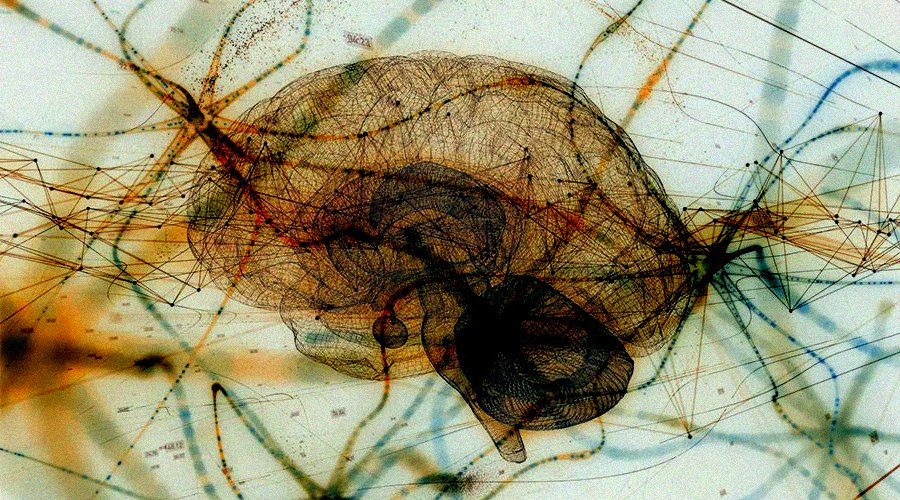 analyticsinme's tweet image. Exploring Neural Architecture Search with AutoML and Deep Learning
bit.ly/3p9d4pa
#neuralarchitecturesearch #AutoML #ObjectIdentificationinImages #deeplearning #machinelearning #AINews #AnalyticsInsight #AnalyticsInsightMagazine