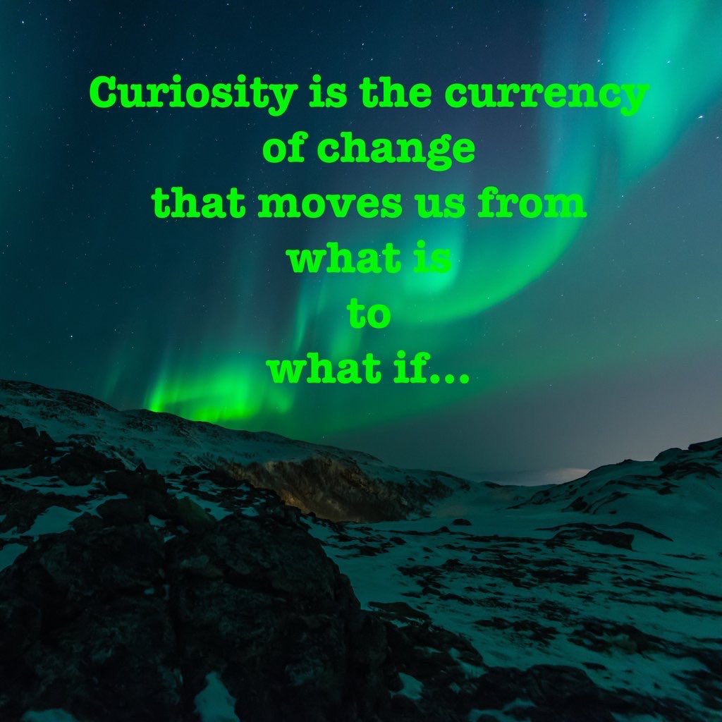 DCulberhouse's tweet image. #CISC2022