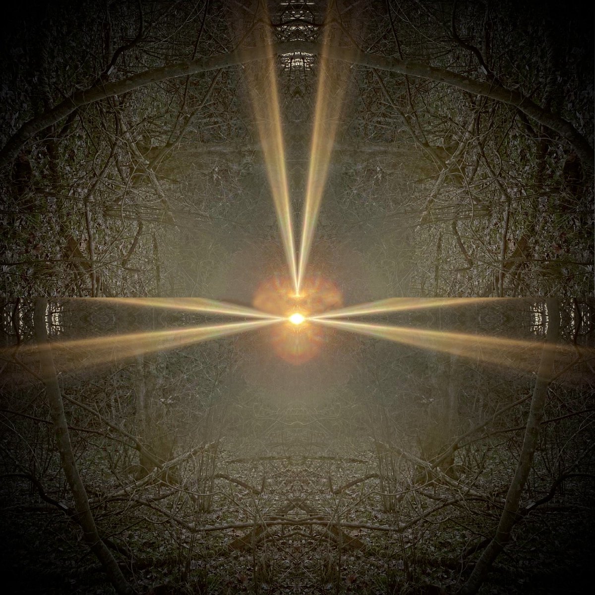 JanusProjectNFT's tweet image. Світло світить у темряві, а темрява не подолала його.  John 1:5

To @Ukraine from Kepler 90b. 
👩‍🚀❤️🪐

#HBARNFT #hbar #NFT #Ukraina #peaceforukraine #StandWithUkraine