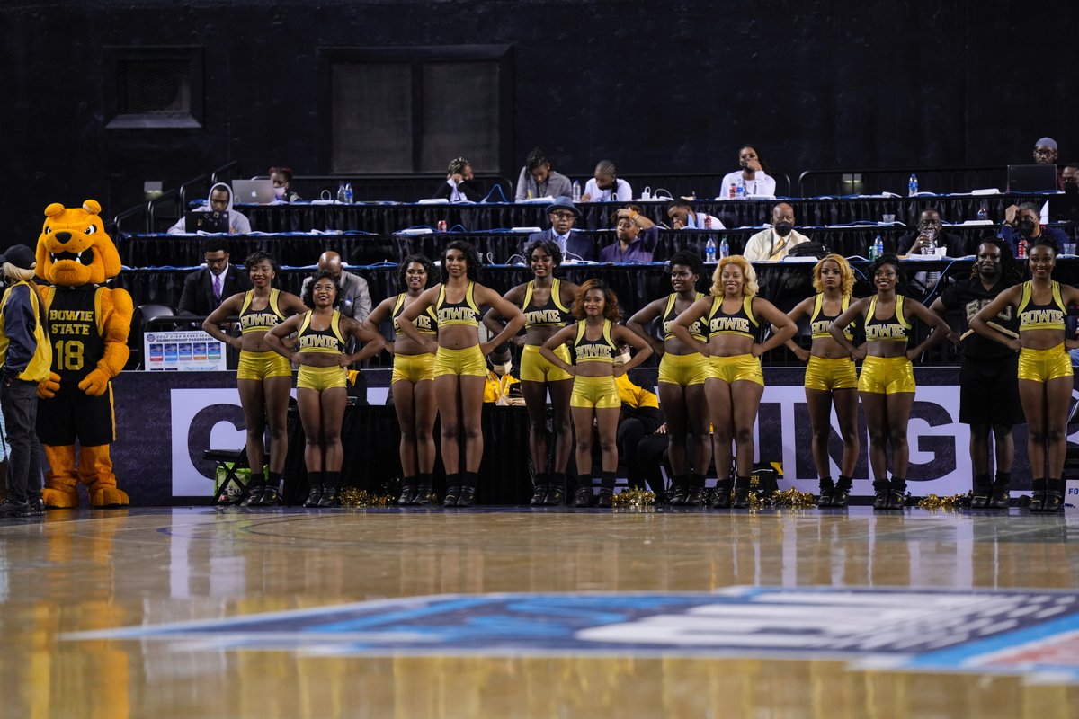 BowieState's tweet photo. Black, gold + BOLD look good in the stands! ๐๐ค #CIAATourney #HeyGGs https://t.co/w9c9MTgbt9