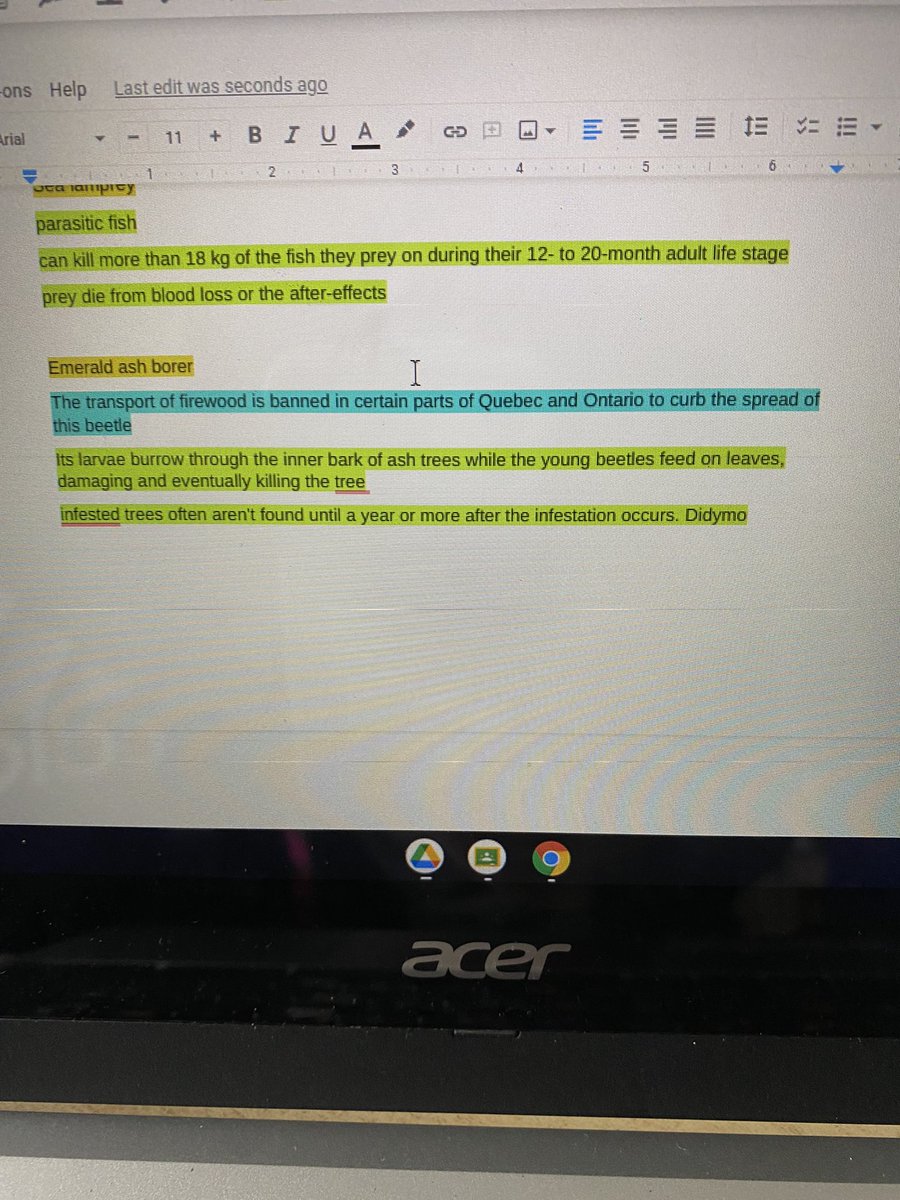 Natalie__Currie's tweet image. ✨ Using #GoogleReadAndWrite to highlight information on invasive species. Luckily a @mountsfieldps student discovered the “Sort Highlights By Position” button so it would keep the information together. Check this out! #GoodForAllTech #AssistiveTech @TVDSBAT