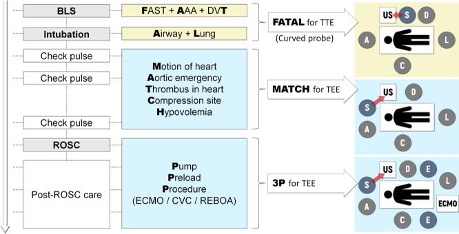 #Resuscitation #ultrasound  #TEE #TTE

Core Ultrasound in REsuscitation (CURE): A novel protocol for ultrasound-assistant life support via application of both transesophageal and transthoracic ultrasound 
resuscitationjournal.com/article/S0300-…