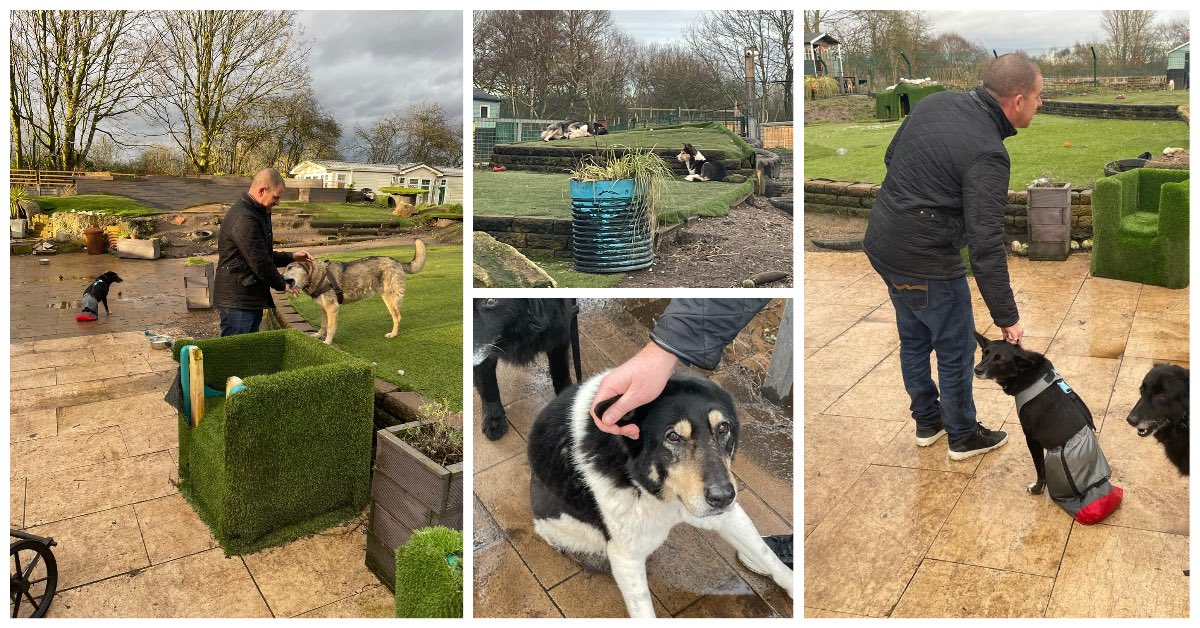 We visited <a href="/Dogs4Rescue/">Dogs 4 Rescue</a> yesterday to drop off care packages with contributions from <a href="/PetsChoiceLtd/">Pets Choice Ltd</a> and MPM Products Ltd and were greeted by some very happy four-legged friends 🐶 

RETWEET and get involved!