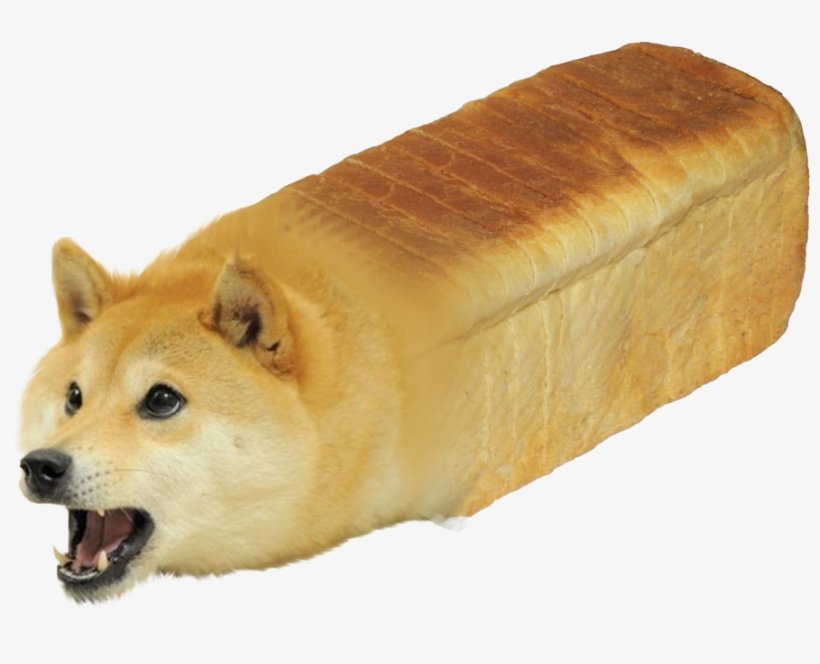 SHIBU DOGE Loaf
DEmESHHjVofuoUyEgeG7ifa68sK9UyCoux(Doge me)