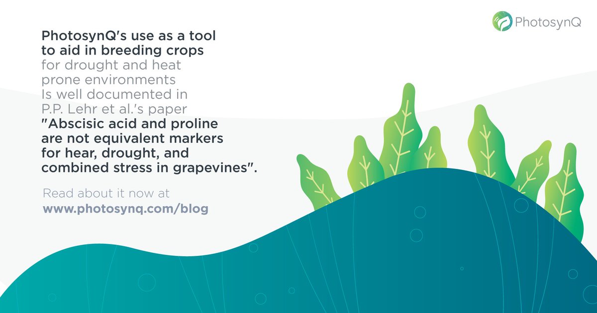 PhotosynQ tweet media