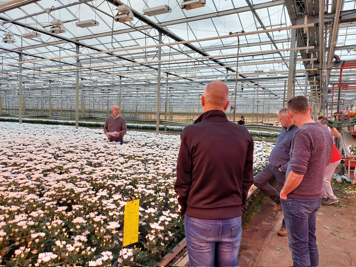 Goede Ilonka excursie <a href="/JohanBooster/">Johan Booster</a> <a href="/zentoo_nl/">Zentoo</a> met <a href="/VannoVaMG/">VannoVa</a> Ed v Paassen Kwekerij Sensation en <a href="/DummenOrangeEU/">Dümmen Orange, EU</a>