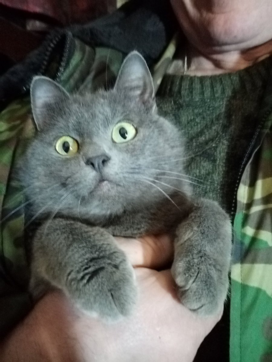 Шурик:-Папа, скажи-а добро всегда побеждает зло? Только правду скажи-а то  мне так страшно стало...Не бойся, наш любимый Шуринька- добро обязательно победит-иначе и быть не может! Мы верим в это-и ты верь!