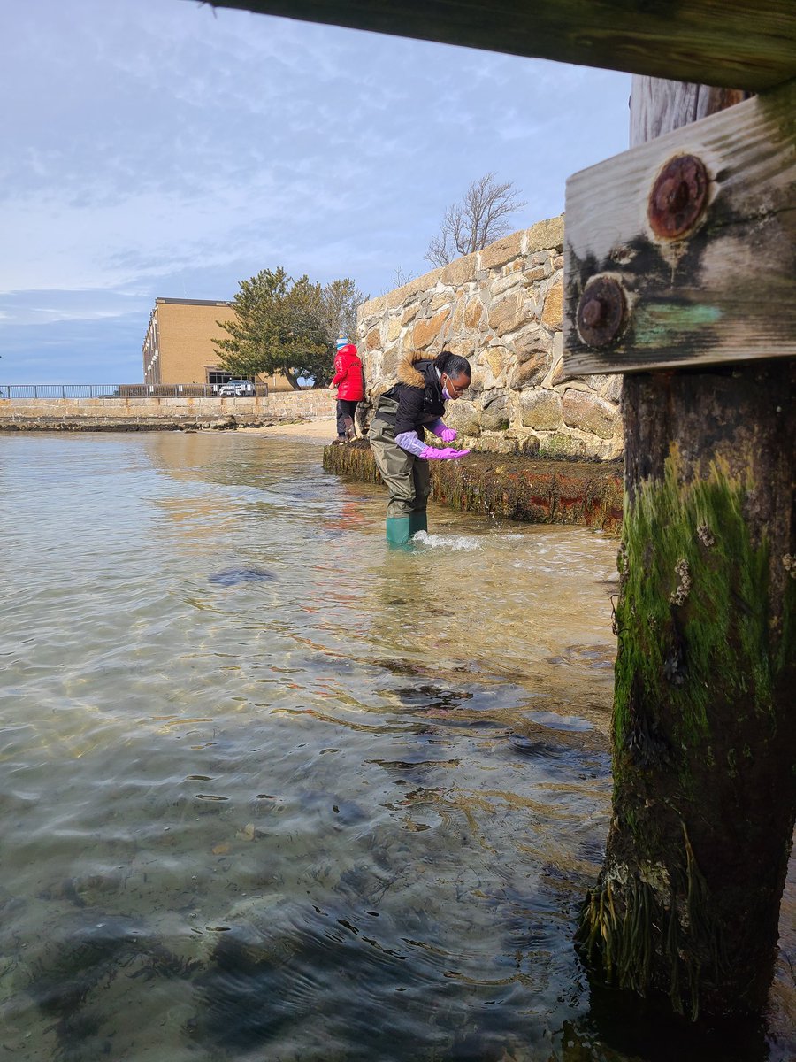 lluviamagenta's tweet photo. Day 4: From garbage beach to the lab. Intertidal species identification workshop https://t.co/JUeyou4dkp