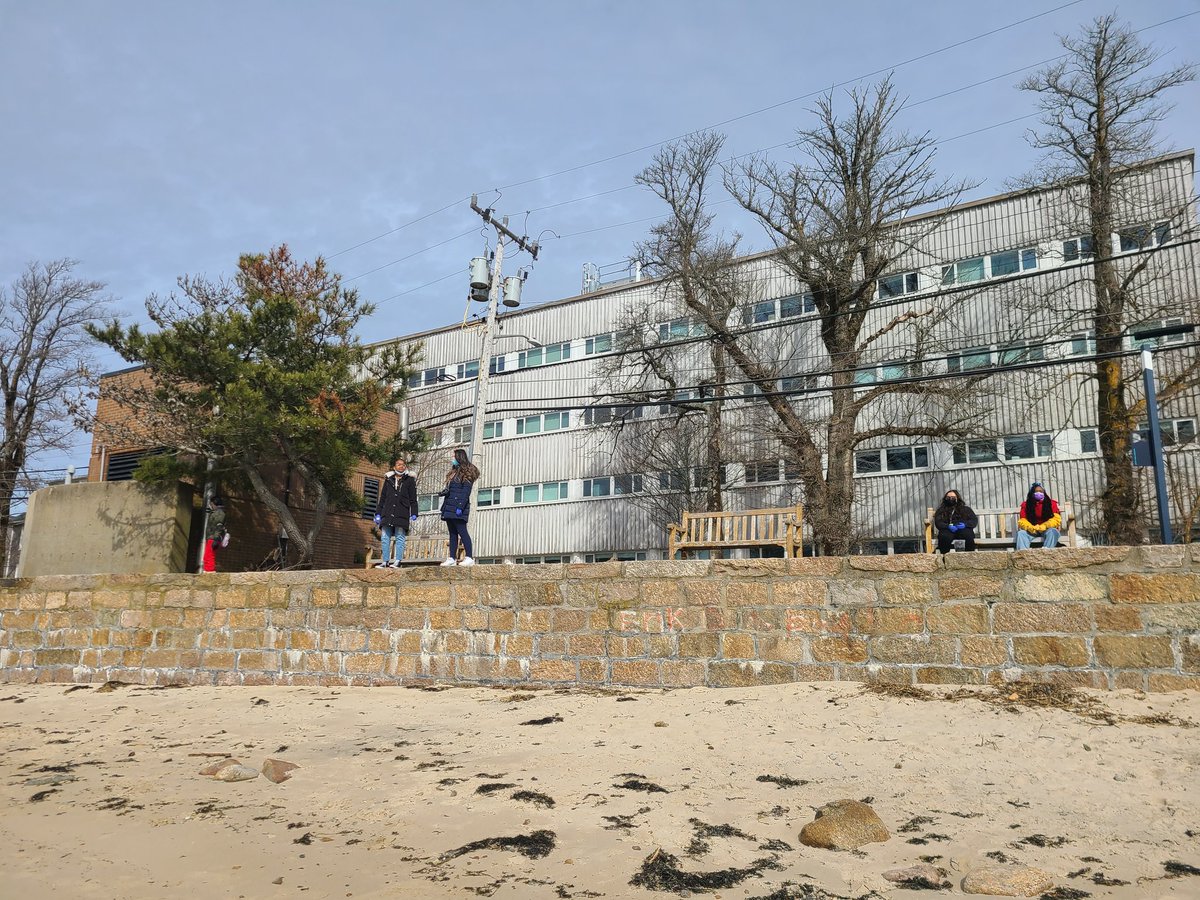 lluviamagenta's tweet photo. Day 4: From garbage beach to the lab. Intertidal species identification workshop https://t.co/JUeyou4dkp