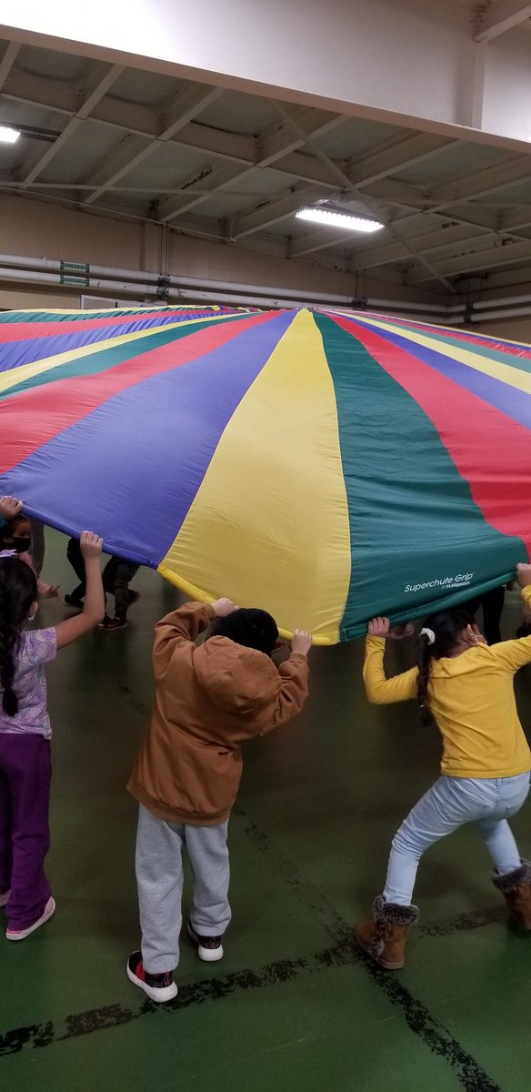 WEwildcatPE's tweet photo. @WilsonES_AISD 1st grade students engaging in parachute fun in gym class.  Developing teamwork, cooperation, and listening skills.  @JonathanKegler @DrCrystalWatson @AldineAthletics @drgoffney https://t.co/AU8087JhVb