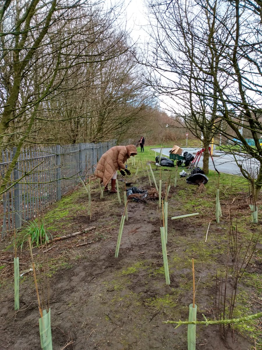 FionaMegarrell's tweet photo. Smashing job done by 14 volunteers today in the hail and snow! 
Lots of hedgerow species planted turning a nuisance area into a wildlife haven 👏👏👏 Thank you @EITC !
@LivHospitals @GreenerLUHFT @LuhftWellbeing https://t.co/iRyzhyLyWR