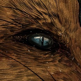 fancyfoxclub's tweet image. FFC #1000