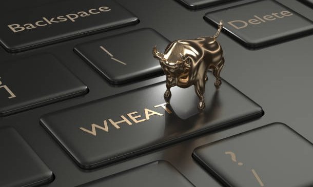 Самое низкое предложение на российскую пшеницу 12,5% упало на $5 тн. на уровне $310т FOB NTT при этом украинские предложения 11,5% на том же уровне для отгрузки FOB Николаев.Украинские предложения 12,5% были по цене $314-315тн FOB Николаев.
t.me/zernoinfo21/21…