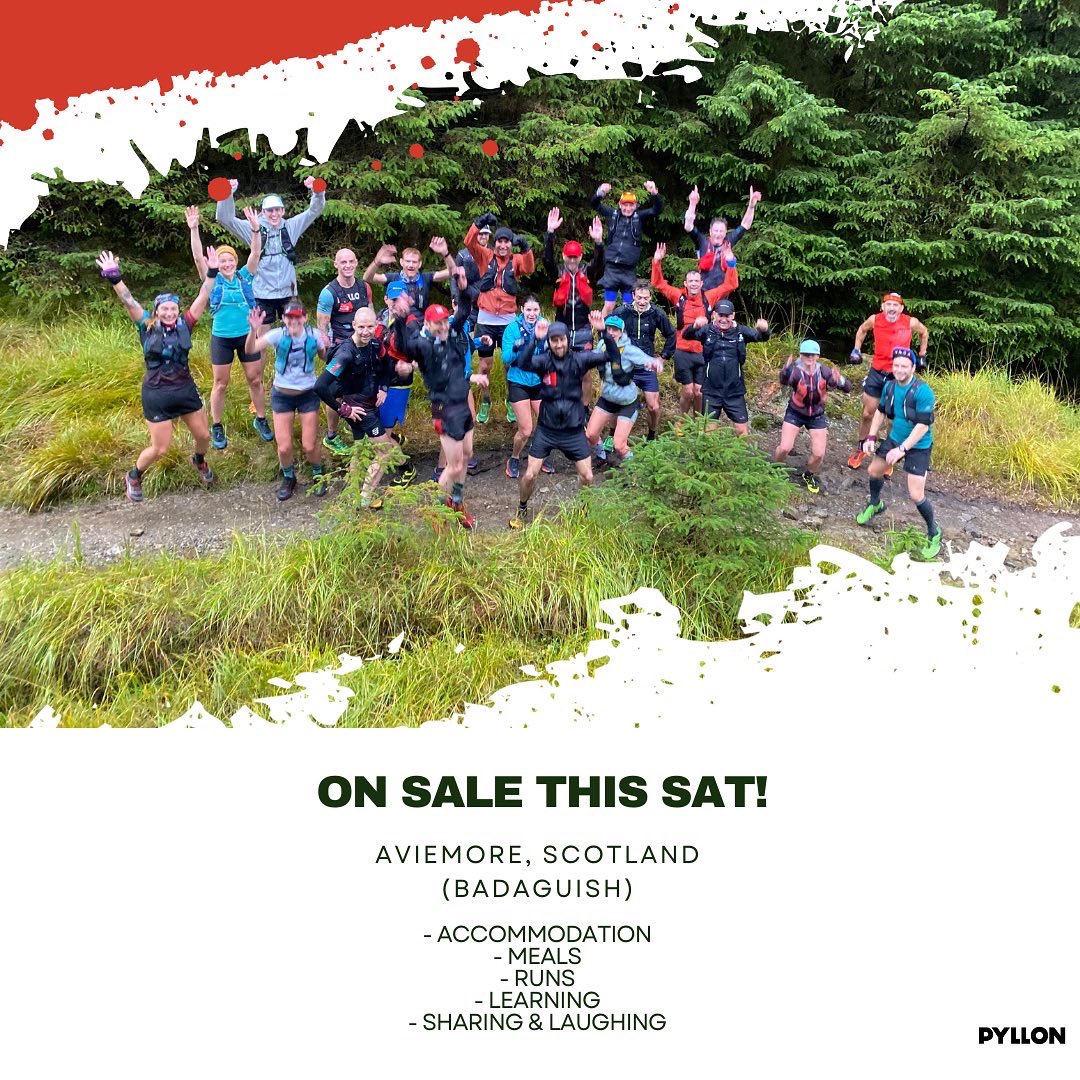 PyllonUltra tweet media