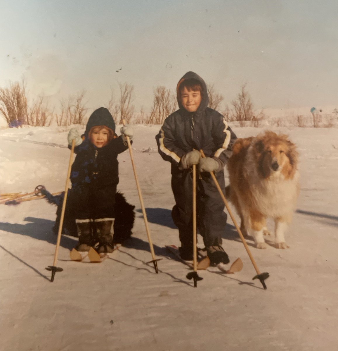 BehstCo's tweet photo. #TBT Throw back to one of our owners:  Jeff Young and his sister enjoying the great land of Assiniboia, SK #CrossCountrySkiing #Collie #BeforeInternet https://t.co/swn4IQHtUP