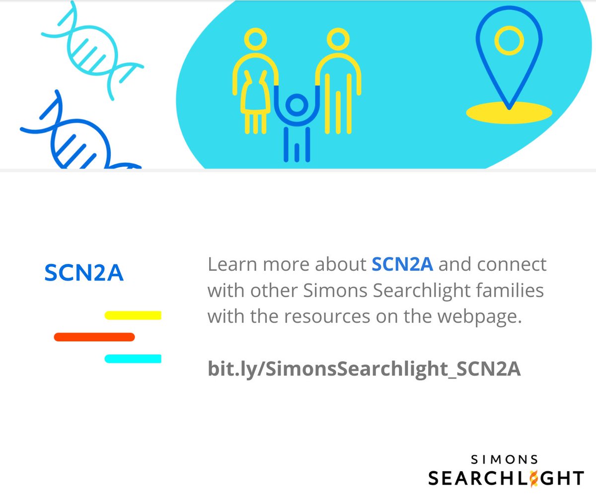 Simons Searchlight (@s_searchlight) on Twitter photo Today we celebrate #SCN2AAwarenessDay w/our friends <a href="/FamilieSCN2A/">FamilieSCN2A</a>, <a href="/SCN2AAustralia/">SCN2A Asia Pacific</a>, <a href="/SCN2A/">SCN2A</a> & <a href="/scn2aeurope/">SCN2A Europe</a>! We have over 240 families enrolled in #SimonsSearchlight w/more families joining weekly. Find resources, data reports & more on the #SCN2A webpage: bit.ly/SimonsSearchli… Today we celebrate #SCN2AAwarenessDay w/our friends <a href="/FamilieSCN2A/">FamilieSCN2A</a>, <a href="/SCN2AAustralia/">SCN2A Asia Pacific</a>, <a href="/SCN2A/">SCN2A</a> & <a href="/scn2aeurope/">SCN2A Europe</a>! We have over 240 families enrolled in #SimonsSearchlight w/more families joining weekly. Find resources, data reports & more on the #SCN2A webpage: bit.ly/SimonsSearchli…