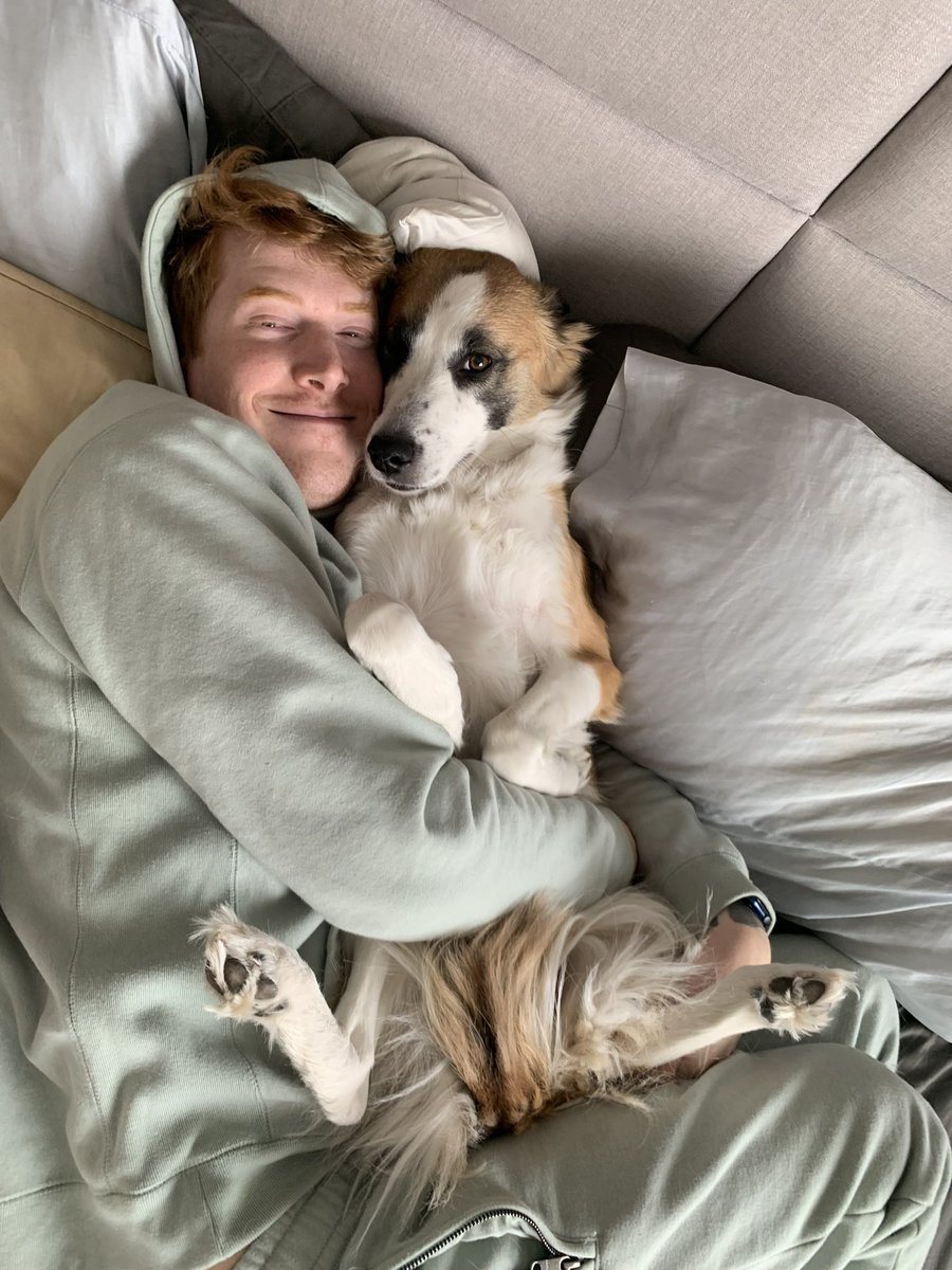 quangocracy's tweet photo. gm from my bed with my angel baby doggo

be sure to hug your loved ones today

kisses and love from q 💋 https://t.co/8aI7dvYvOT