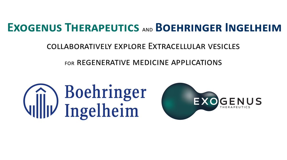 ExogenusTherapeutics (@exogenust) on Twitter photo Exogenus Therapeutics announces a new research collaboration with <a href="/Boehringer/">Boehringer Ingelheim</a> Ingelheim to explore the use of extracellular vesicles as therapeutic tools, focused on pre-clinical testing of its lead candidate Exo-101 in various regenerative medicine indications. Exogenus Therapeutics announces a new research collaboration with <a href="/Boehringer/">Boehringer Ingelheim</a> Ingelheim to explore the use of extracellular vesicles as therapeutic tools, focused on pre-clinical testing of its lead candidate Exo-101 in various regenerative medicine indications.