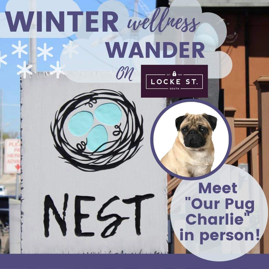 LockeStShops's tweet photo. The pug star of children's book "Our Pug Charlie" will be at @NestHamilton Feb.26, 12-3 for a book signing! Charlie will sign with his + meet author Adam Dishy. 
🐾
Winter Wellness Wander on Locke runs Feb.25-27, part of @HamONWinterfest #HamOnt https://t.co/6X5nxlmdlo