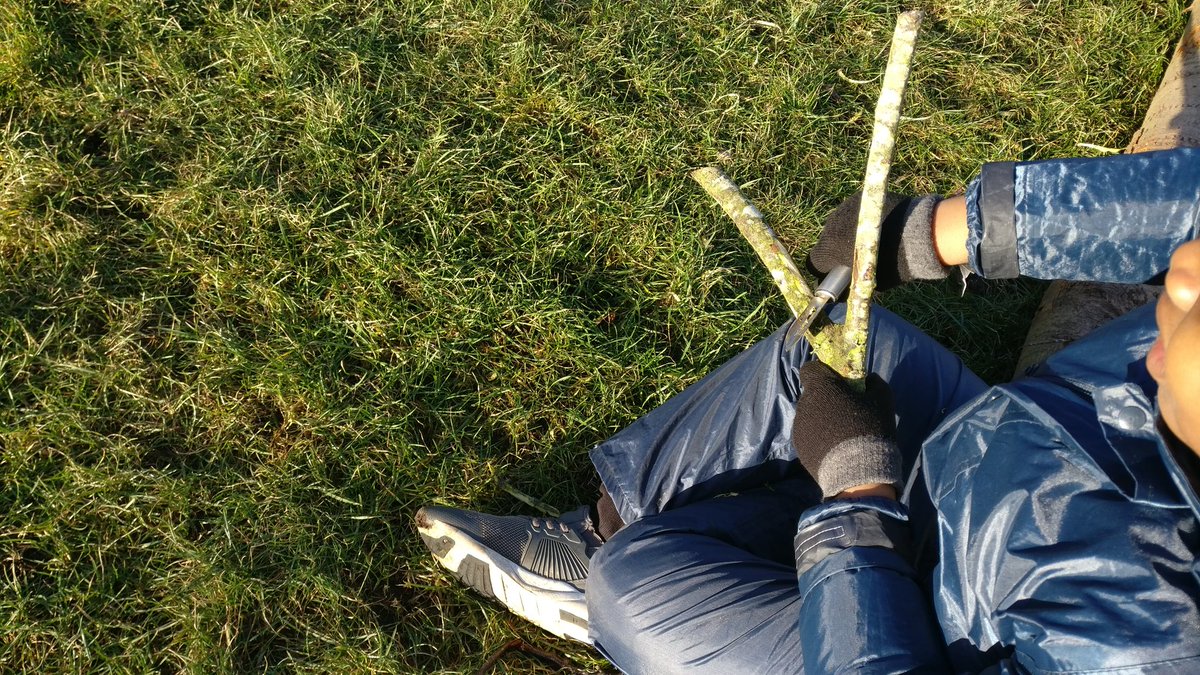 silverhaar1's tweet photo. P3 @woodside_school outdoors checking out what's new with #willowtunnel and #climbingtree and discovering new skills #whittling 😊 https://t.co/jXNLdCoBTv