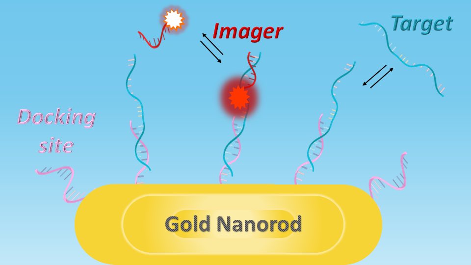 Our next ESR is Vincenzo Lamberti <a href="/TUeindhoven/">TU Eindhoven</a>

His work focuses on single-molecule DNA sensing using plasmonic enhanced fluorescence 🧬

Here is an overview of his work ⬇️