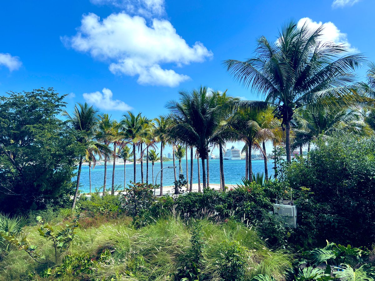 meeshsparks's tweet image. Today’s #FocusWeek  work space with @_valentinalara #LoveWhereYouWork #LoveWhoYouWorkWith