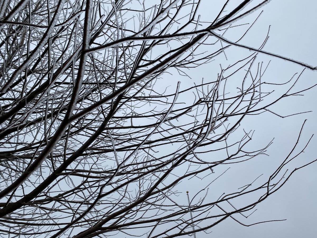 Nohely Mackowiak (Mendoza) tweet media