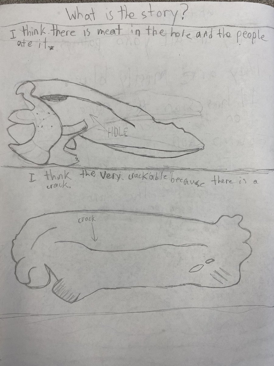 KaraMedlicott's tweet photo. Gr. 2 students built on their observation skills using real bison bones! They used these artifacts to make inferences and tell stories. How can these artifacts help us gain a deeper understanding of this place and the first people on this land? #Edgemontstory @EdgemontCBE https://t.co/bztugQfRJC