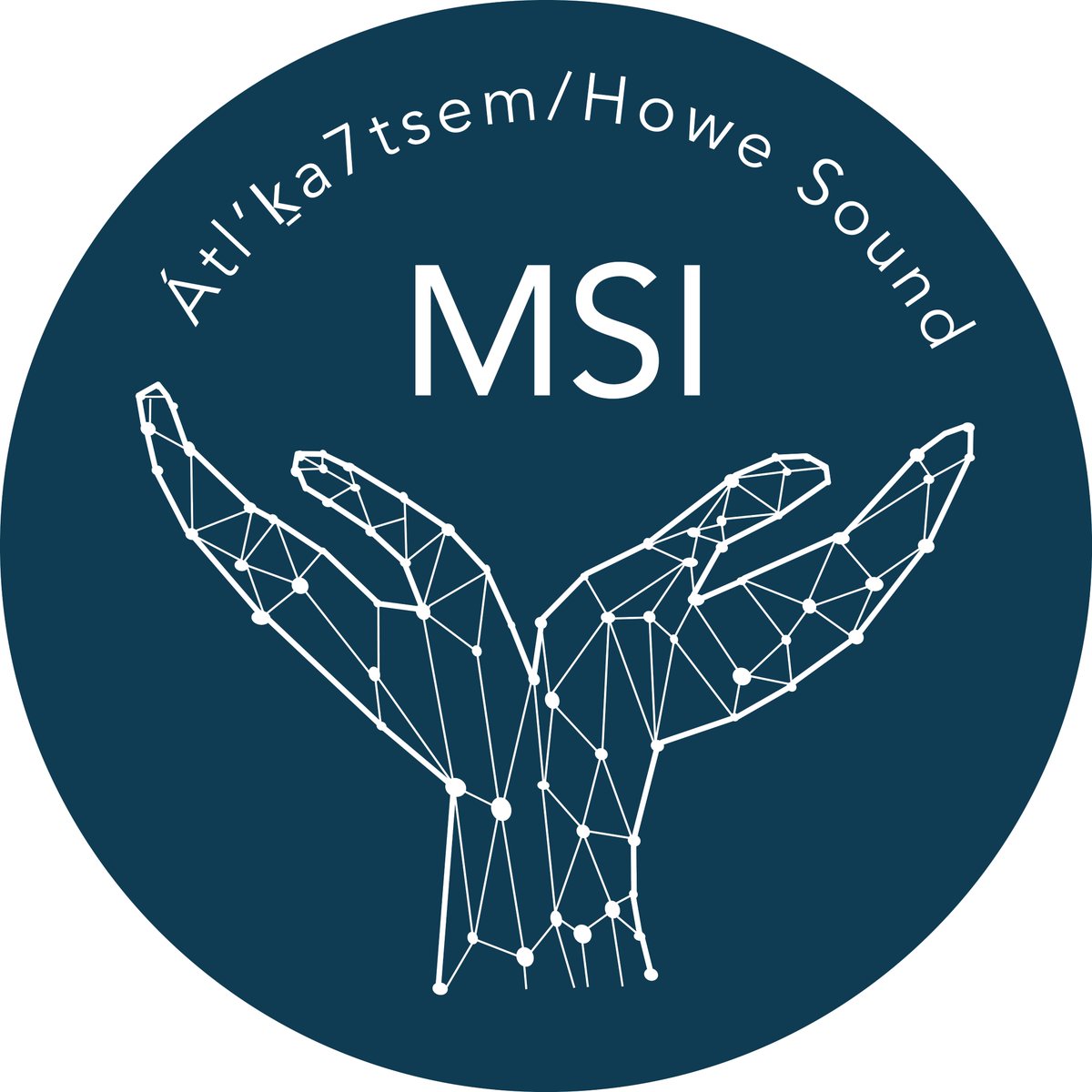 Our NEW logo is ready! Thanks to Tegan Frid Designs for the redesign 🐳