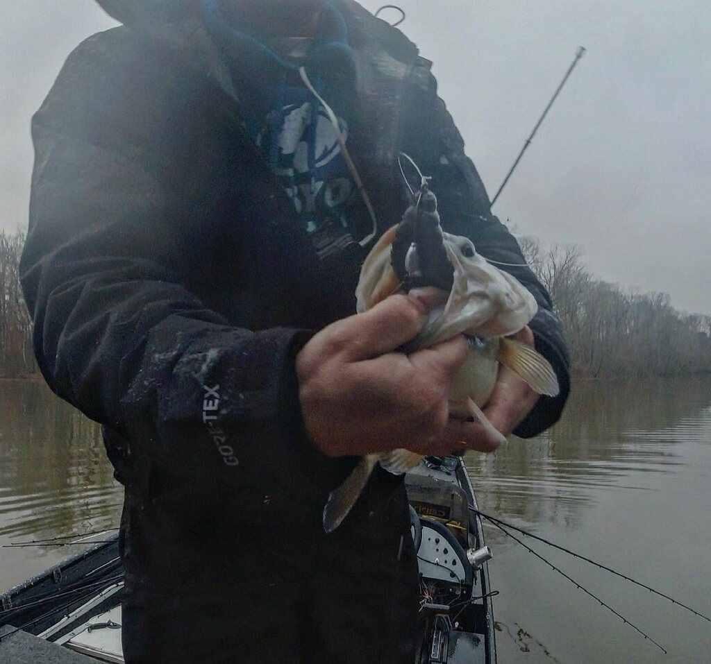 mattleefishing's tweet photo. Would you just look at it !! 😳 #deps #bullflat Video soon 😬#edbassmaster https://t.co/nIQuy3rDeA https://t.co/SwrxqGSAgE