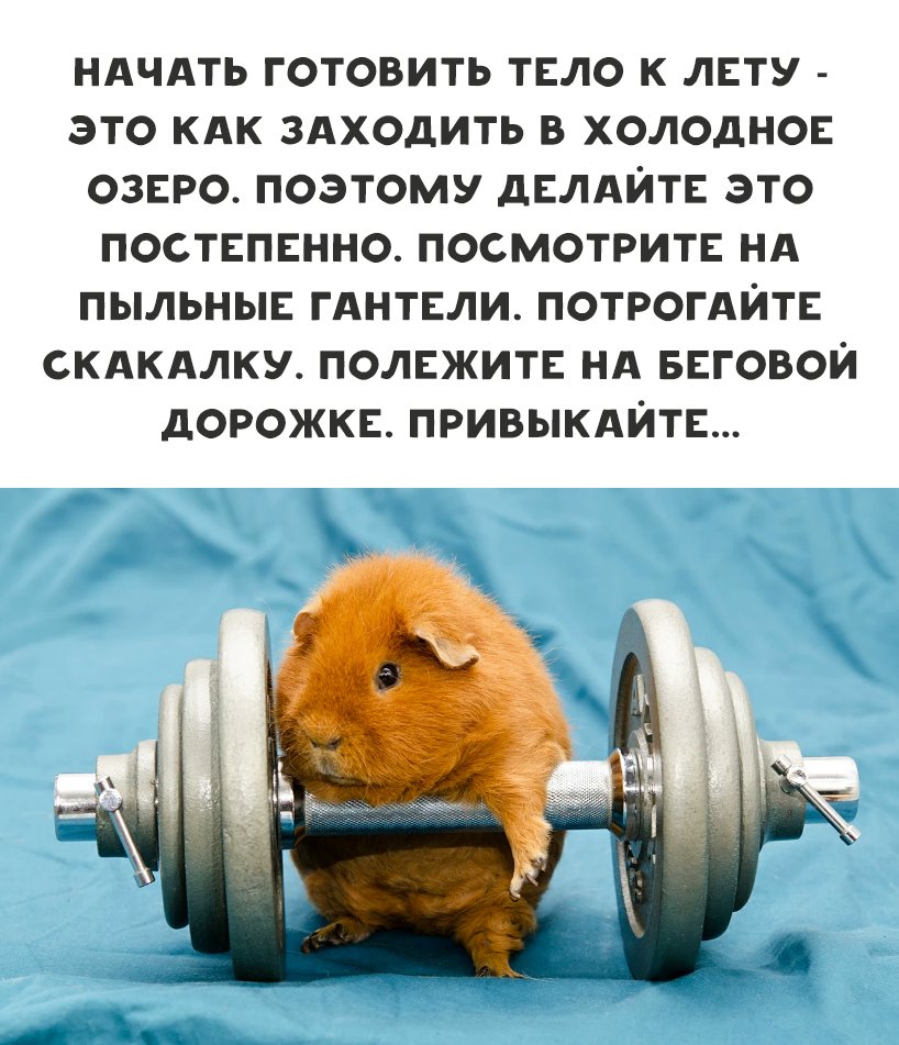 PANTEGRA3's tweet photo. Лето близко.... https://t.co/sy0ITtqtvD