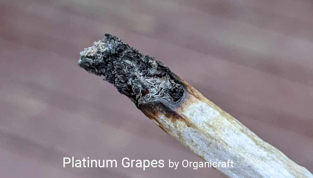 Platinum Grapes (Small) by Organicraft 7 Grams 24.53% THC 3.33% Total Terpenes from Mendo Cannabis Medical