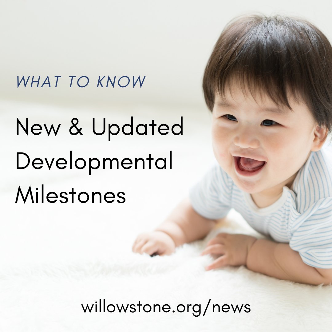 What's the deal with the new and updated developmental milestones? Get the scoop: willowstone.org/news/developme…