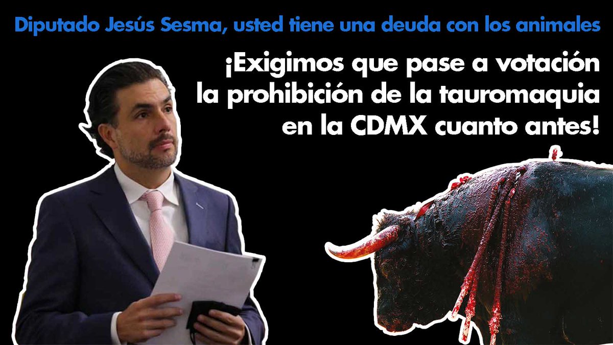 Diputado @ChuchoSesmaPVEM, no basta decir que defiende a los animales, se necesitan HECHOS. ¿Por qué no ha pasado a votación la iniciativa para prohibir las corridas de toros en #CDMX? 

#CDMXsinTauromaquia #MéxicoSinTauromaquia #TauromaquiaAbolición