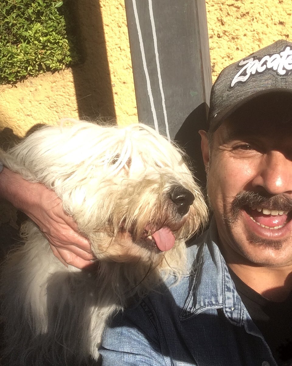 Amigos #amigos #friends #dogs #perros