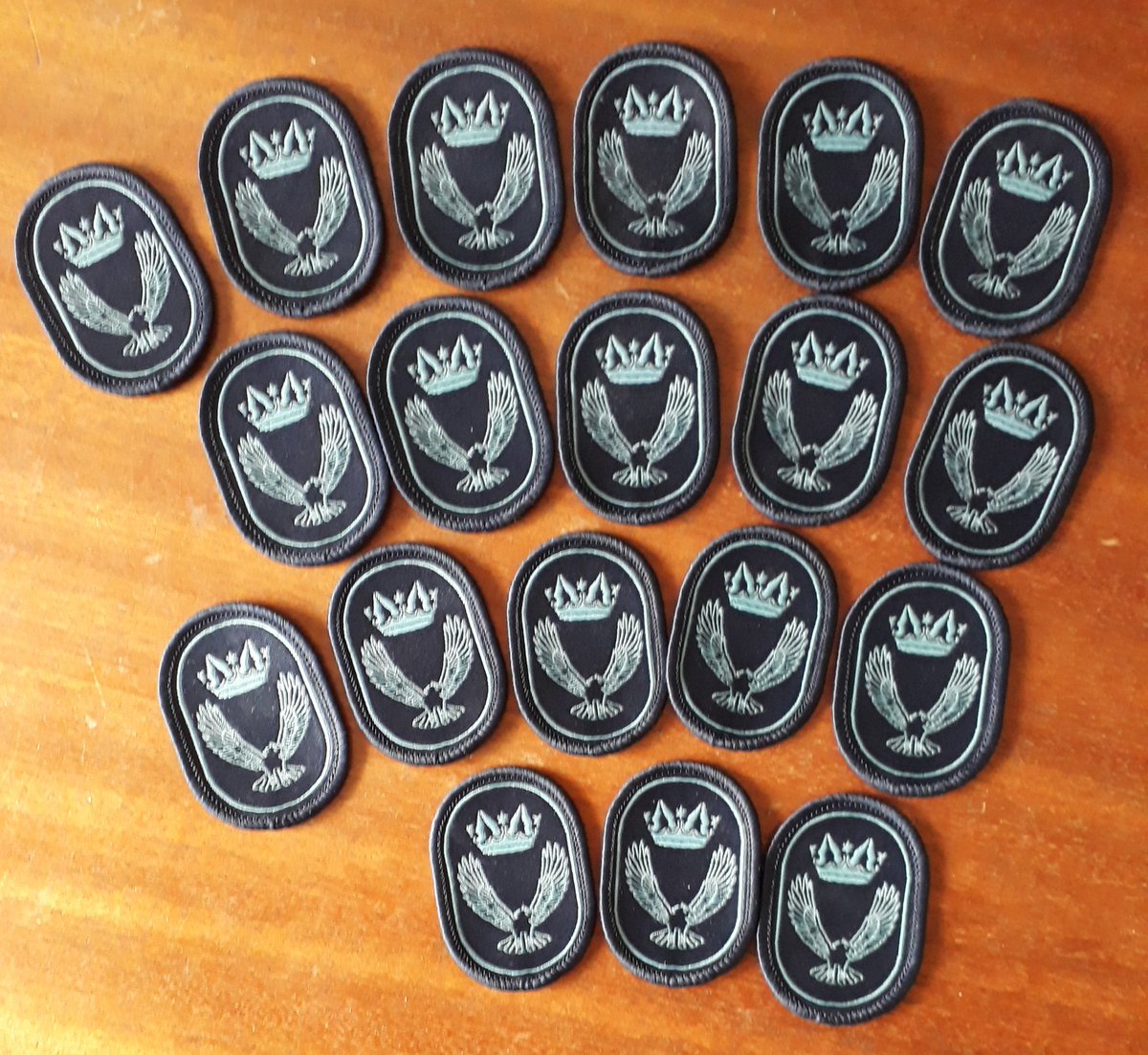 Congratulations to the 19 cadets from <a href="/2497Sqn/">We've moved to @CosfordCadets</a> @wmwaco on gaining their Blue Pre-DofE badges. 
@OCWMercianWing #dofe #whatwedo
