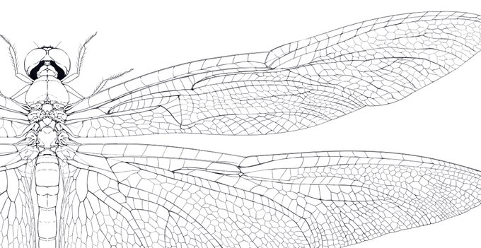 自分の、こういう絵をず～～～っと描いてても全然苦じゃないところ、嫌いじゃないです。 