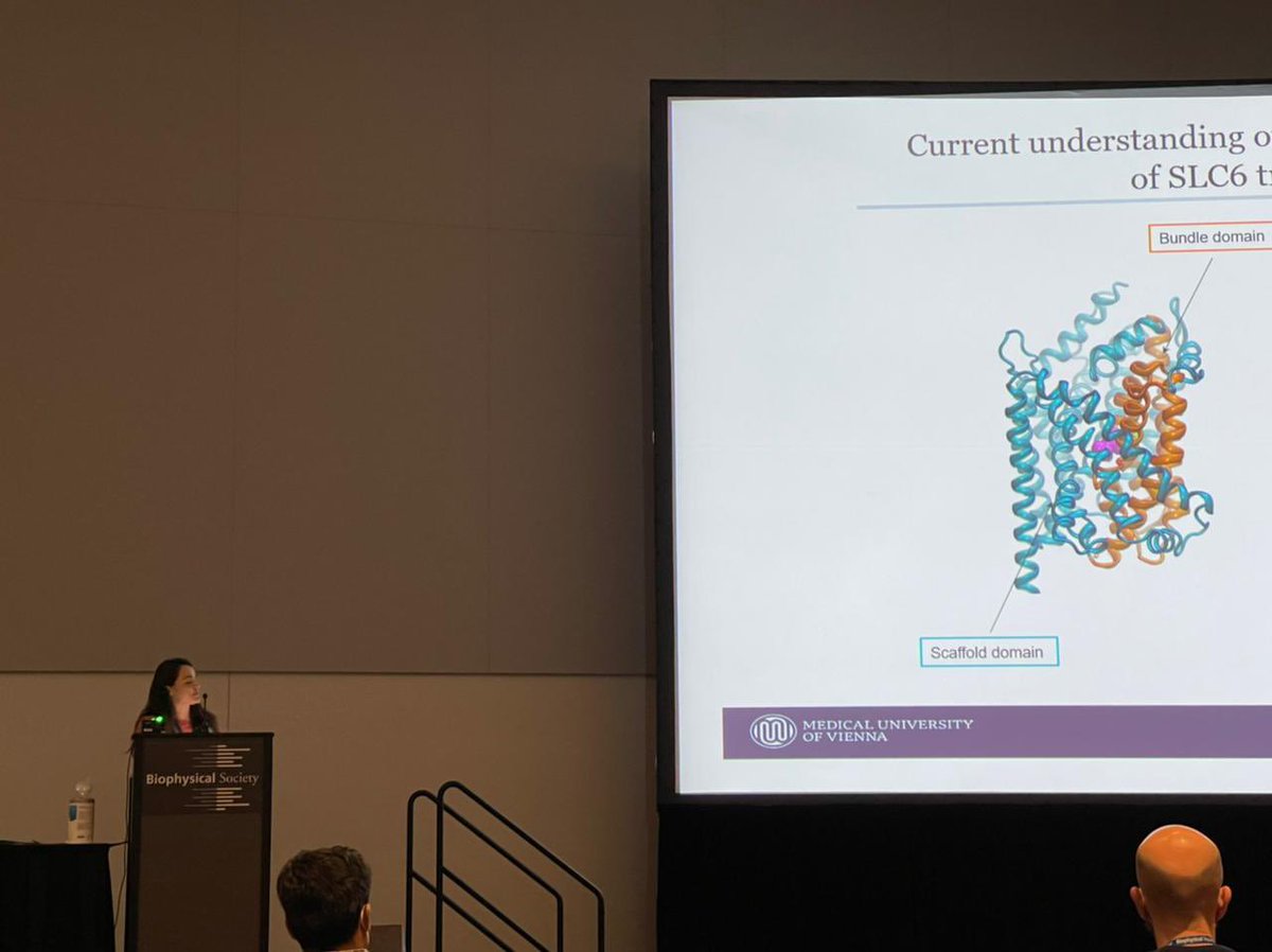 NeuroTrans (@neurotransetn) on Twitter photo Congratulations!! Great talk by <a href="/AlvesLeti95/">Leticia Alves</a> at the #bps2022 annual meeting discussed the HSERT transport mechanism by Markov state model. Congratulations!! Great talk by <a href="/AlvesLeti95/">Leticia Alves</a> at the #bps2022 annual meeting discussed the HSERT transport mechanism by Markov state model.