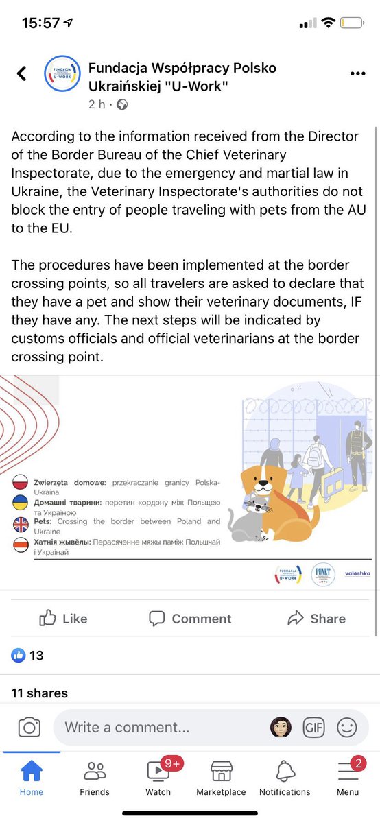 domdyer70's tweet photo. Thank you to Polish Government for allowing refugees fleeing the fighting in Ukraine to enter the country with their dogs &amp; cats @NickyAACampbell @Tukslaw_scanme https://t.co/mEFlqkutZD