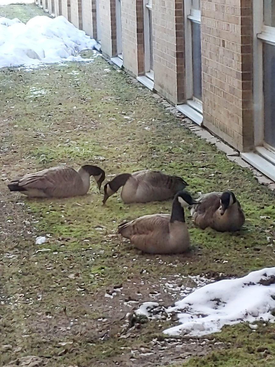 Waterloop tweet media