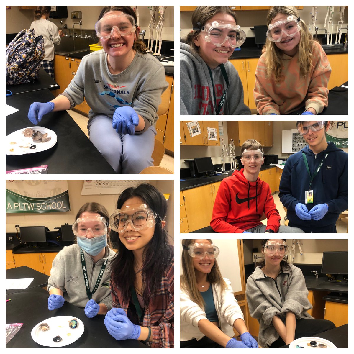 MrsMedlockMHS's tweet photo. Eye Dissection Day!!! Learning the structure of the eye using cow eyes! ๐
#PLTW #HBS #weRmedina #MCCCPLTW
PLTW is a collaboration between MCCC and MCS https://t.co/WAzb0SdWgR